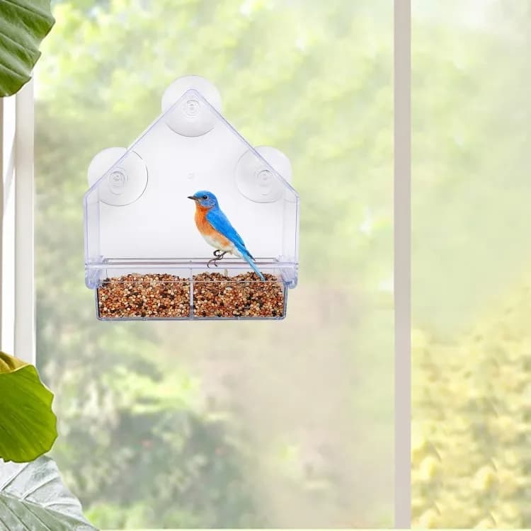 Clear Window Bird Feeder β Double Feeding Tray with Suction Cups π¦πΏ