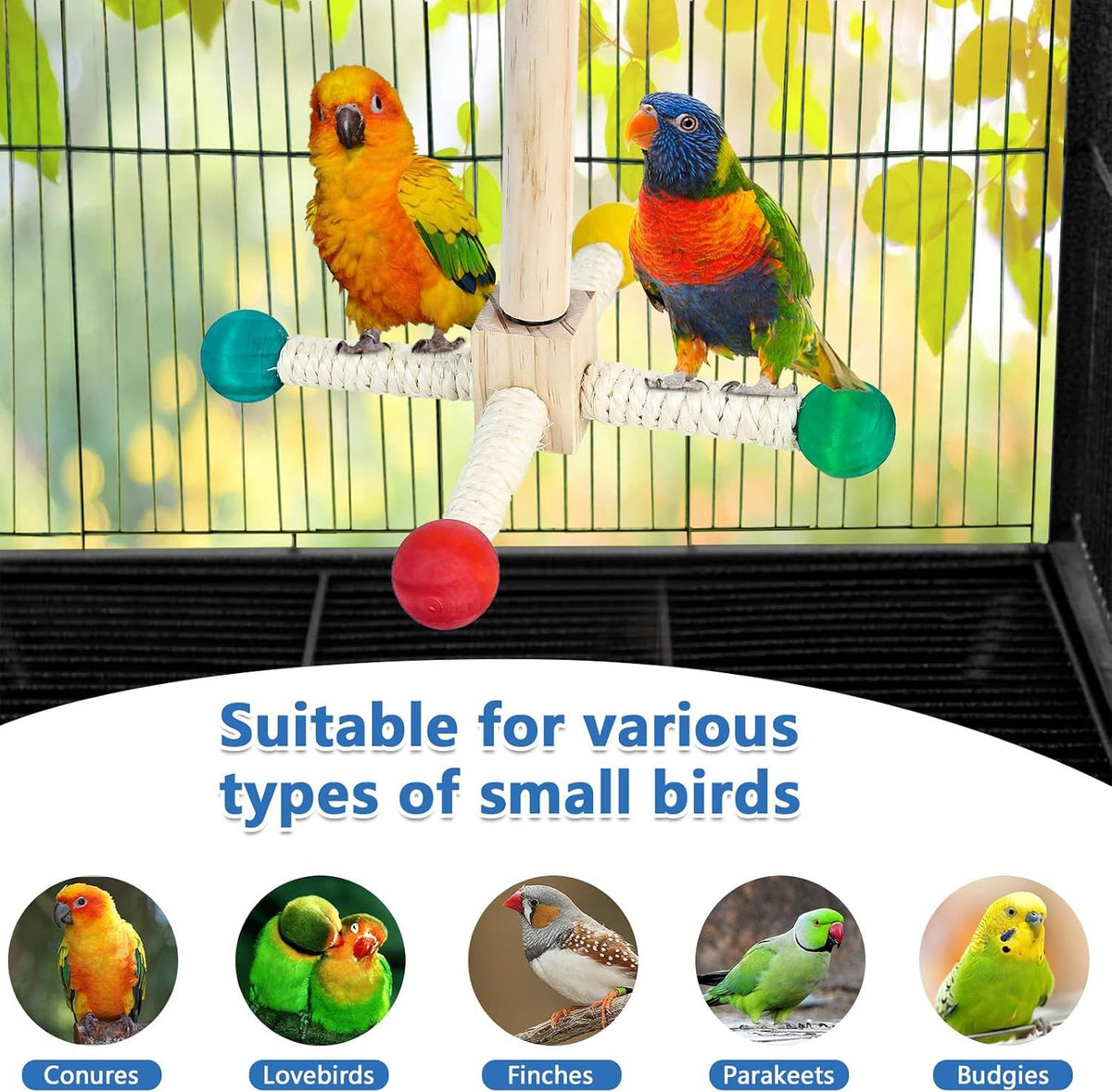 Baby Beaks Twirly Whirly Perch 🐣🌈 | 360° Rotating Wooden Bird Playground
