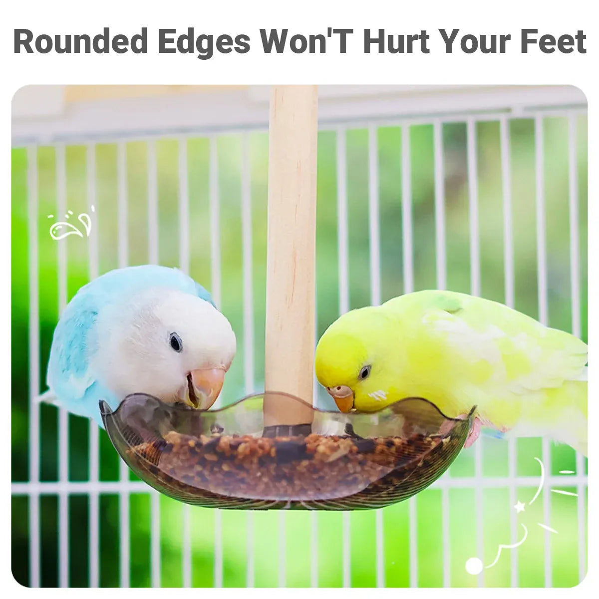 Baby Beaks Little Nibbles Feeding Station ๐ฃ๐ | Bird Food Bowl & Wooden Perch