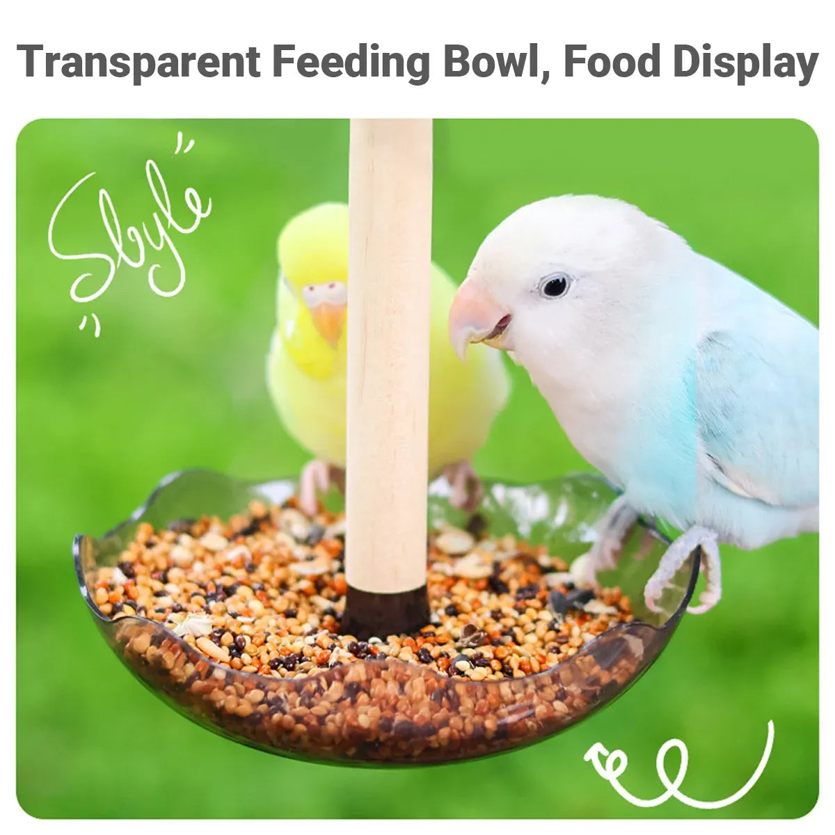 Baby Beaks Little Nibbles Feeding Station ๐ฃ๐ | Bird Food Bowl & Wooden Perch