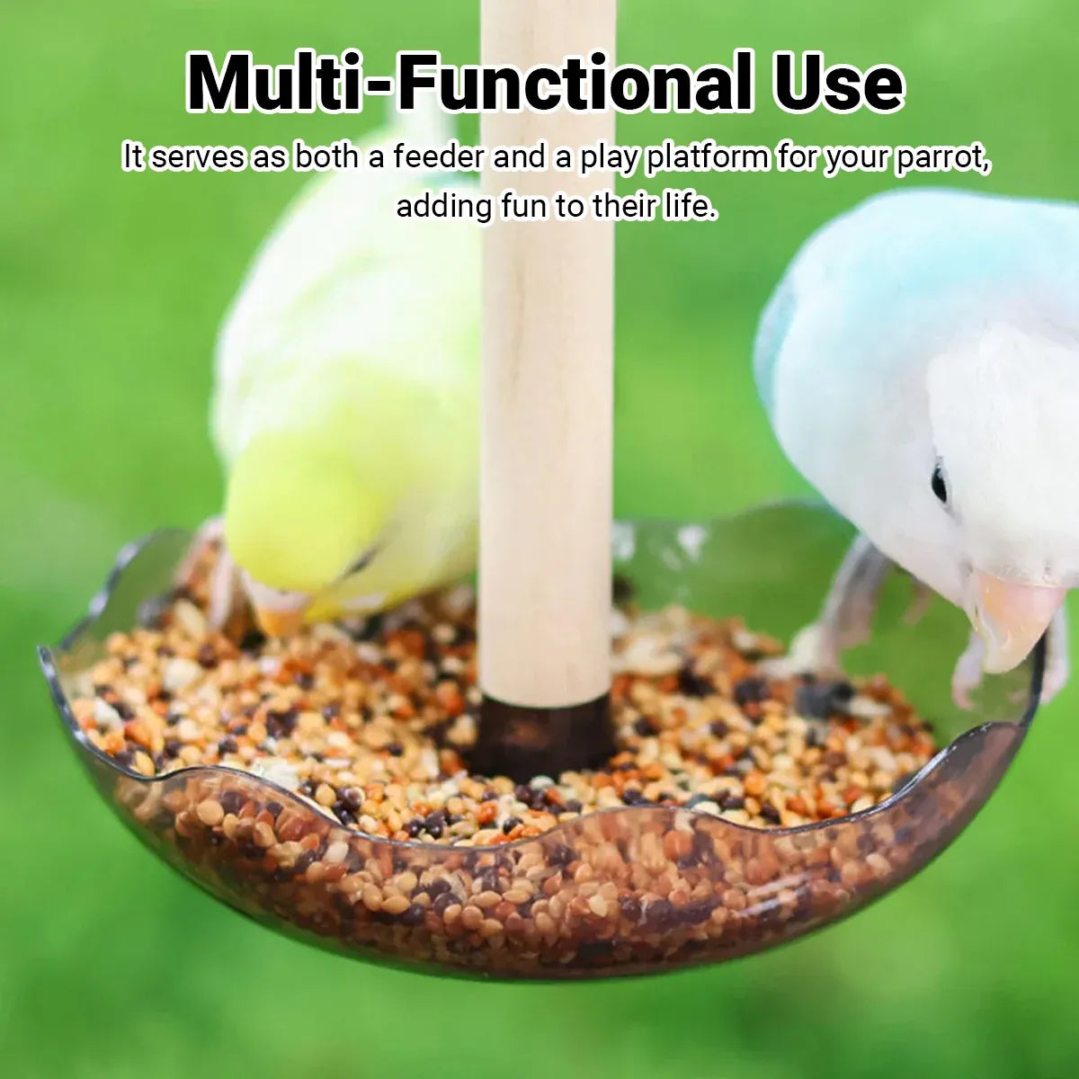 Baby Beaks Little Nibbles Feeding Station ๐ฃ๐ | Bird Food Bowl & Wooden Perch