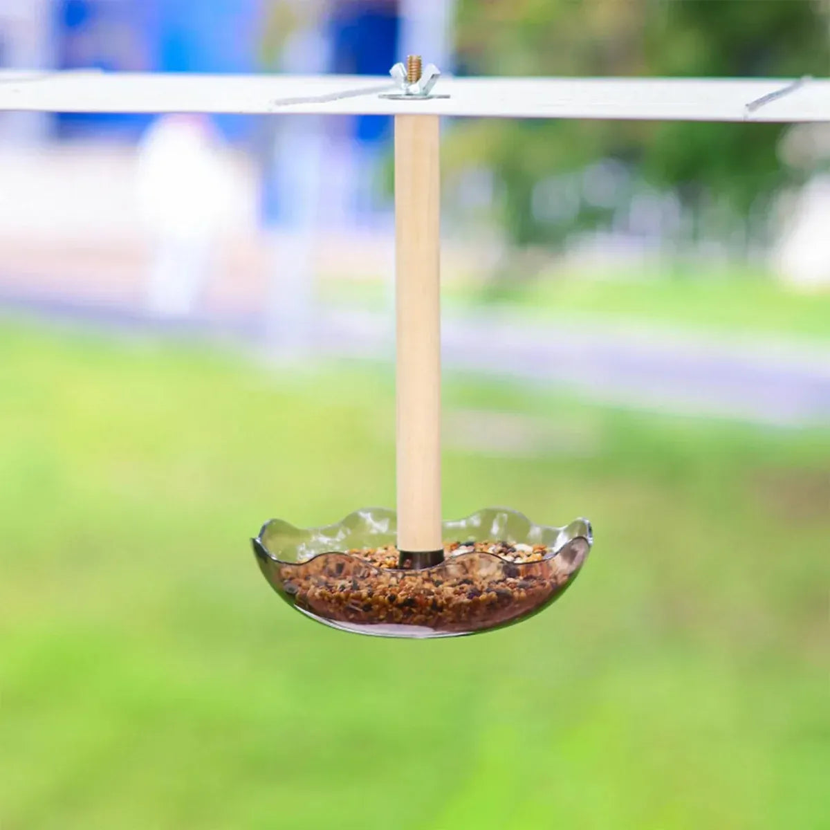 Baby Beaks Little Nibbles Feeding Station ๐ฃ๐ | Bird Food Bowl & Wooden Perch