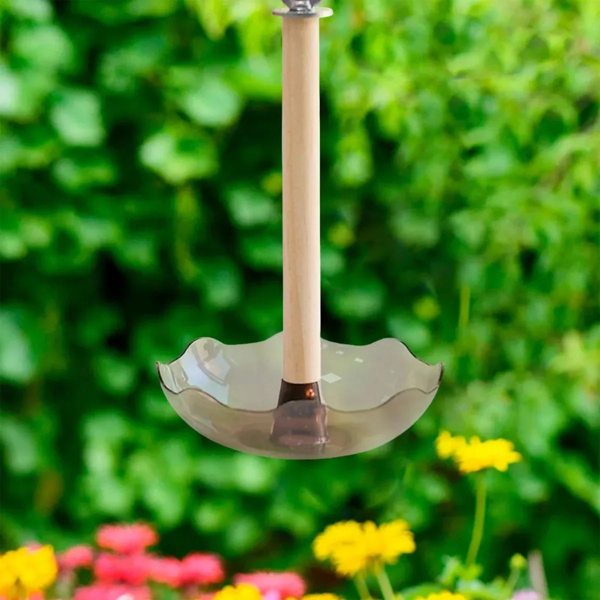Baby Beaks Little Nibbles Feeding Station ๐ฃ๐ | Bird Food Bowl & Wooden Perch