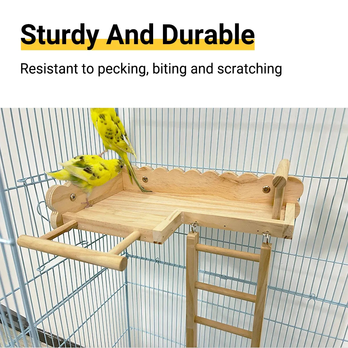 Birdie Wooden Climbing Ladder & Resting Platform β Natural Bird Playground π£π