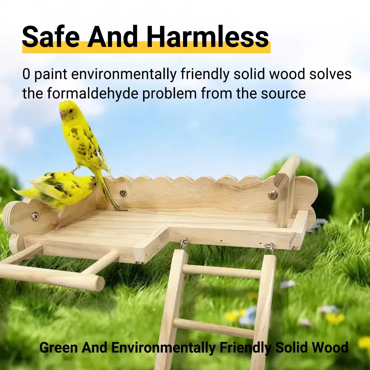 Birdie Wooden Climbing Ladder & Resting Platform β Natural Bird Playground π£π