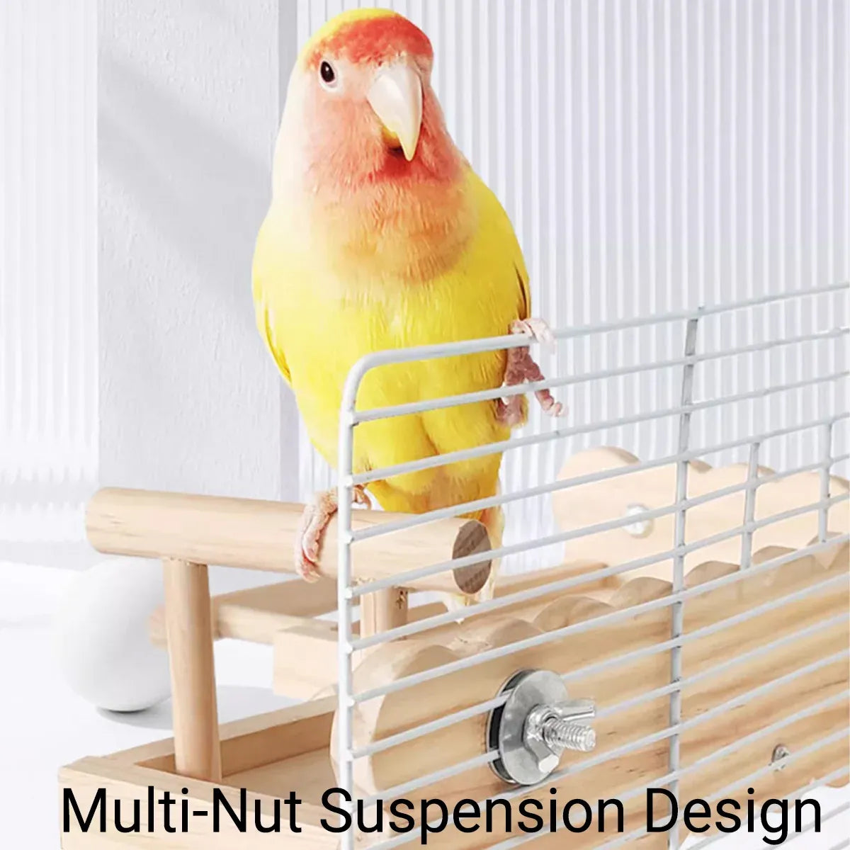 Birdie Wooden Climbing Ladder & Resting Platform β Natural Bird Playground π£π
