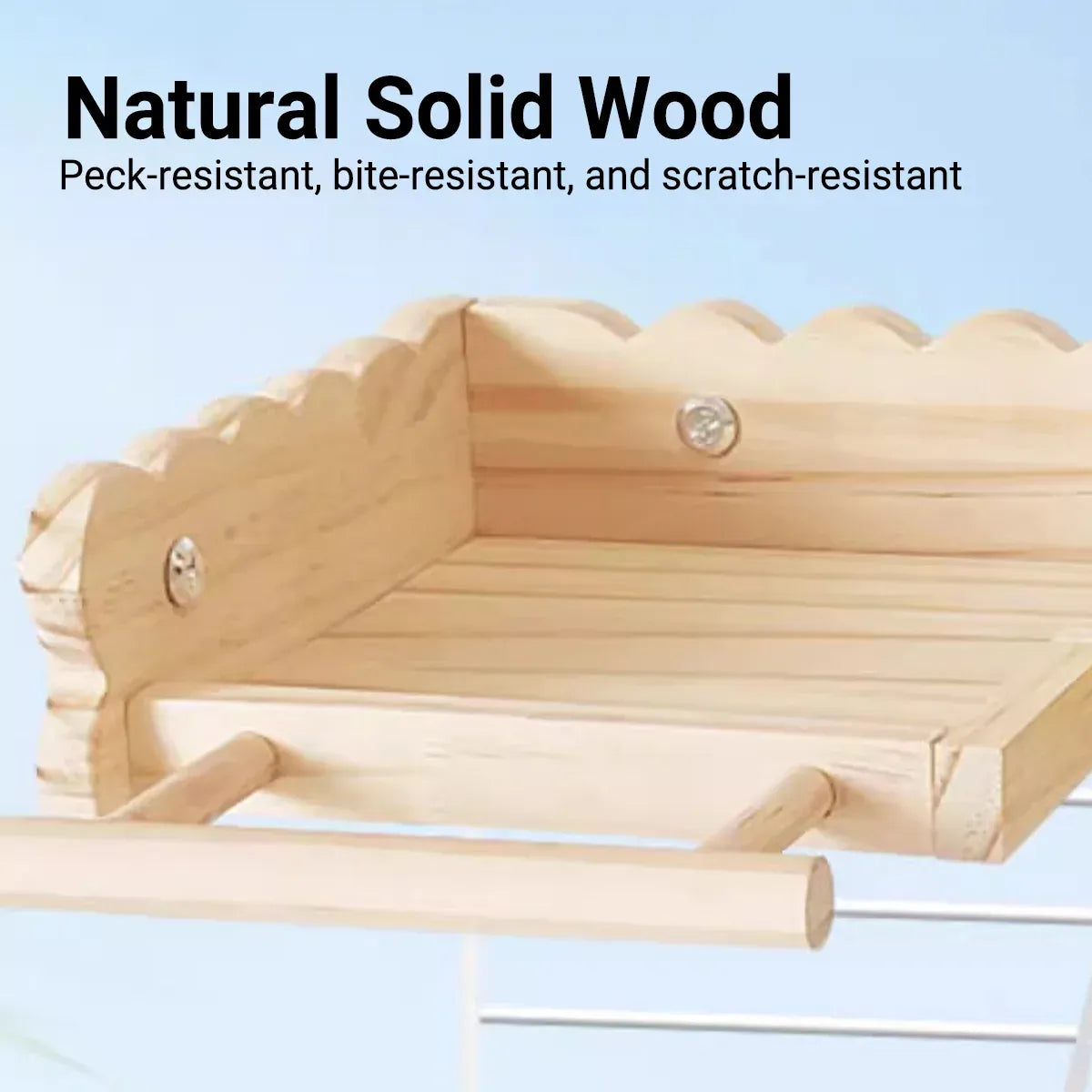Birdie Wooden Climbing Ladder & Resting Platform β Natural Bird Playground π£π