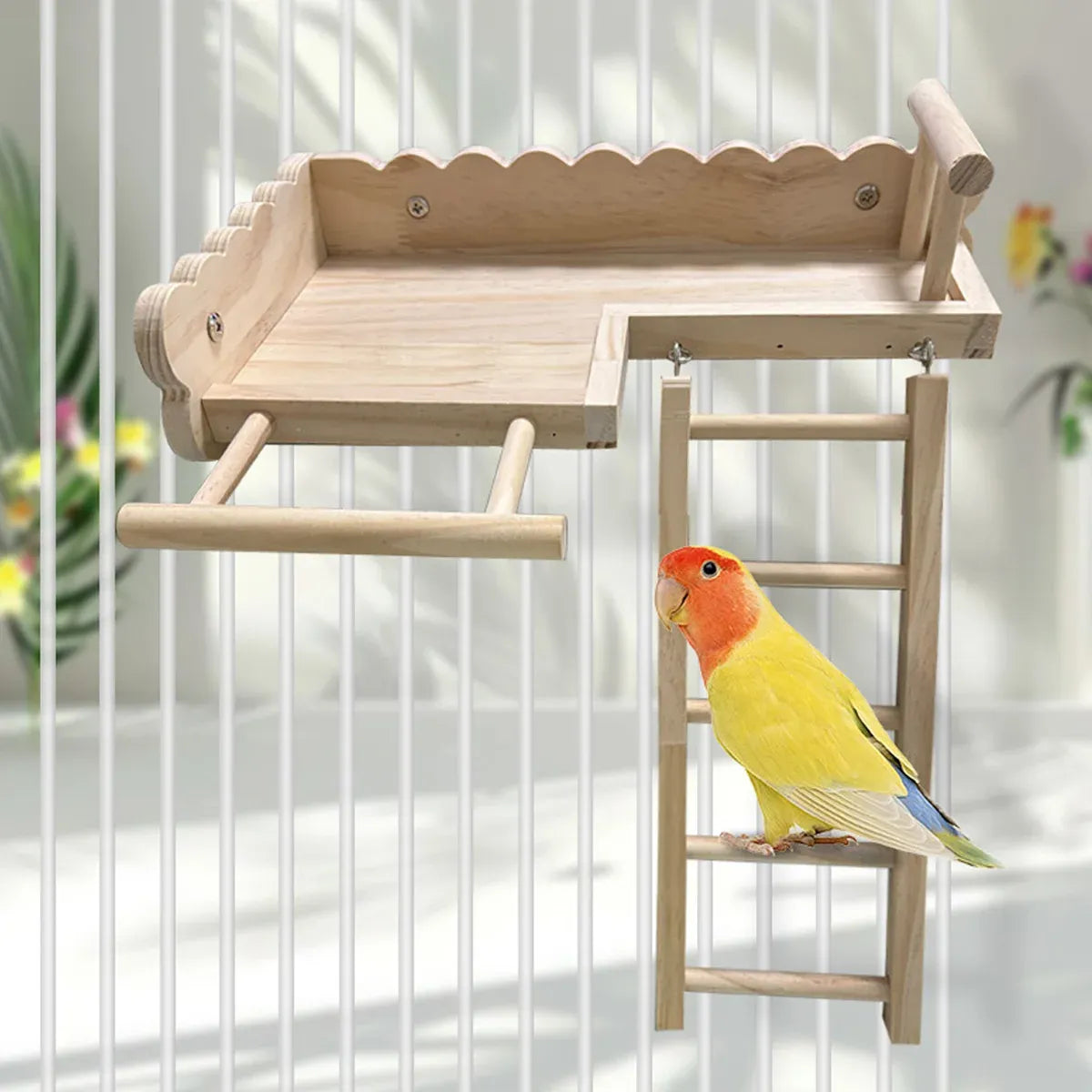 Birdie Wooden Climbing Ladder & Resting Platform β Natural Bird Playground π£π