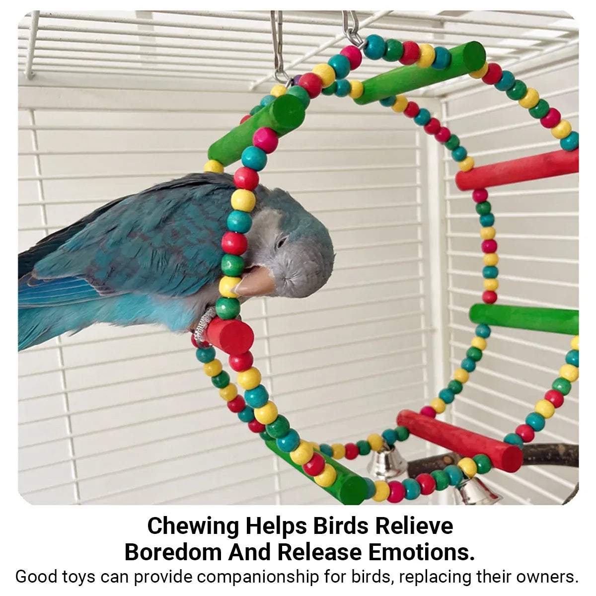 Baby Beaks Rainbow Roundabout ๐๐ | Colourful Bird Swing & Perch Toy