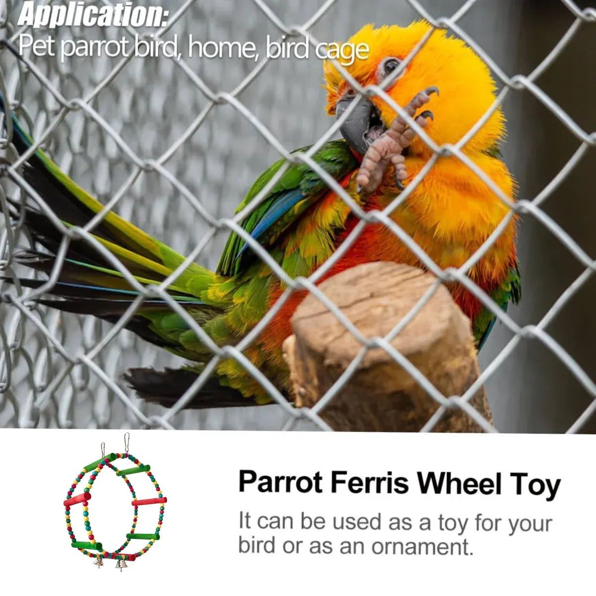 Baby Beaks Rainbow Roundabout ๐๐ | Colourful Bird Swing & Perch Toy