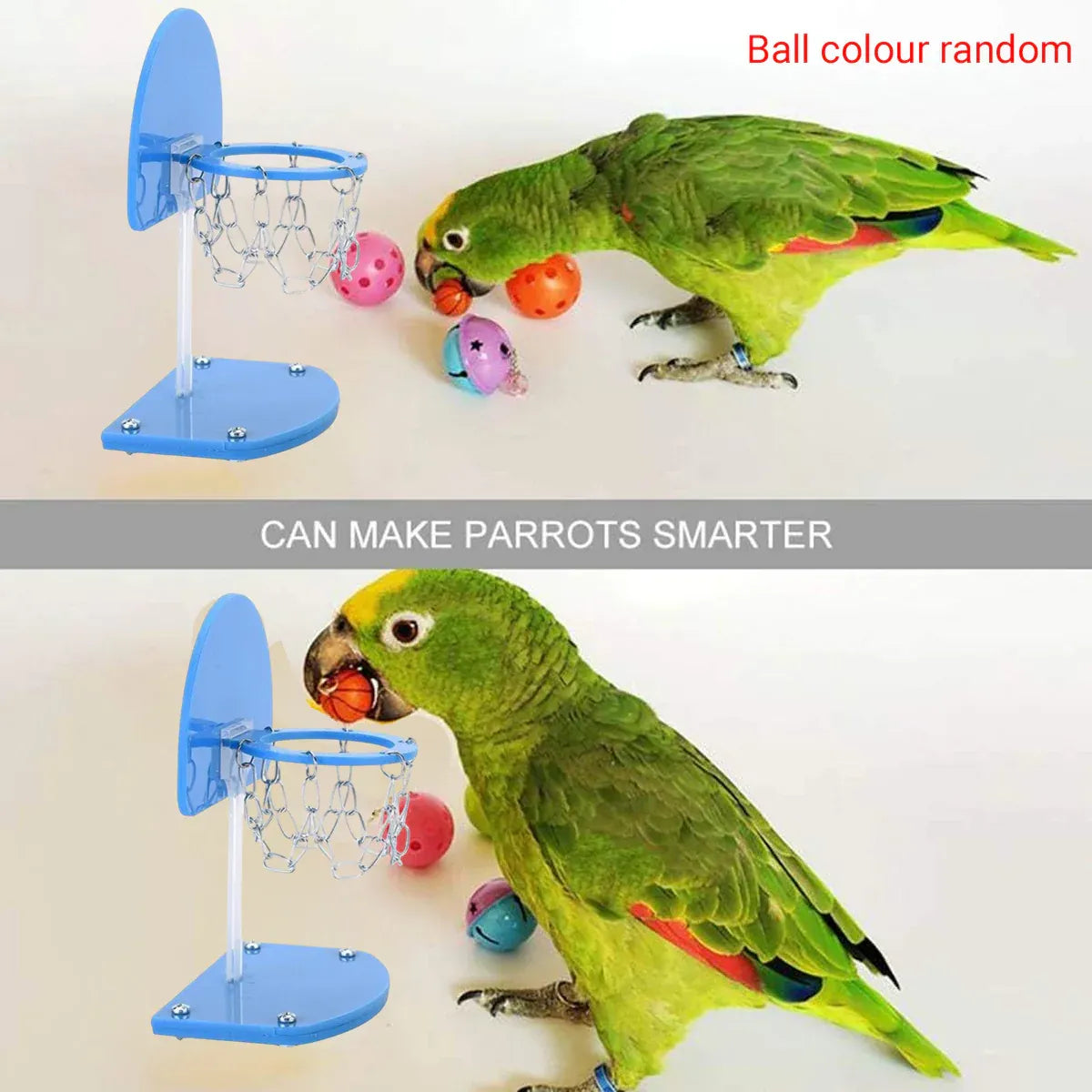 Mini Basketball Hoop for Birds β Interactive Parrot Training & Enrichment Toy π¦π