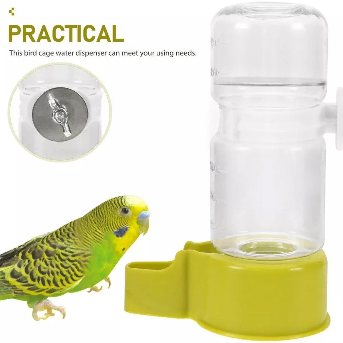 Baby Beaks Little Sips Water Station 🐣💧 | Automatic Bird Water Dispenser