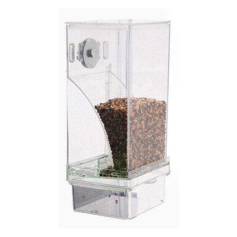 Baby Beaks Tidy Beak Feeder 🐣💕 | No-Mess Automatic Bird Seed Dispenser