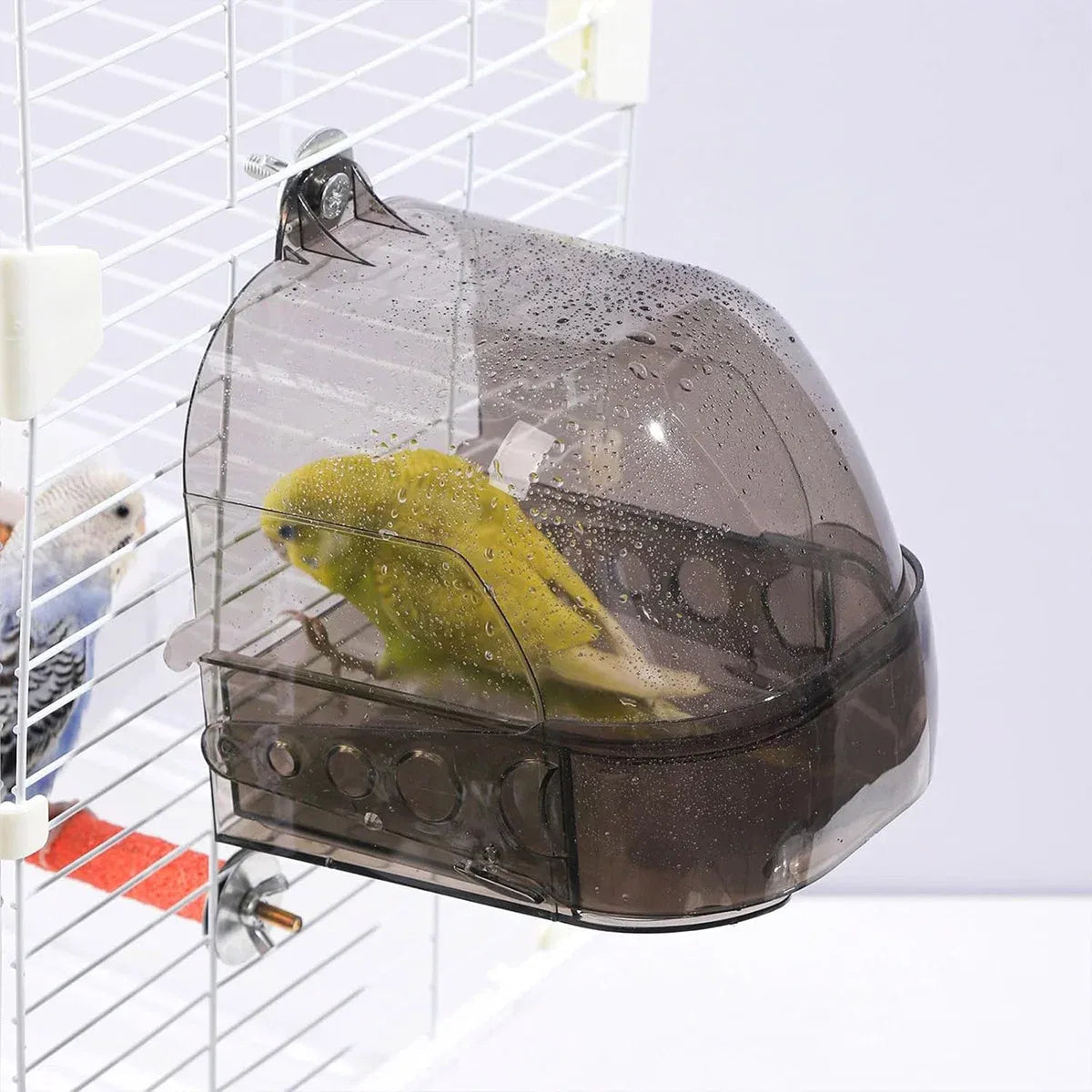 Baby Beaks Splashy Birdie Bath ๐๐ | Clear Clip-On Bird Cage Bath House