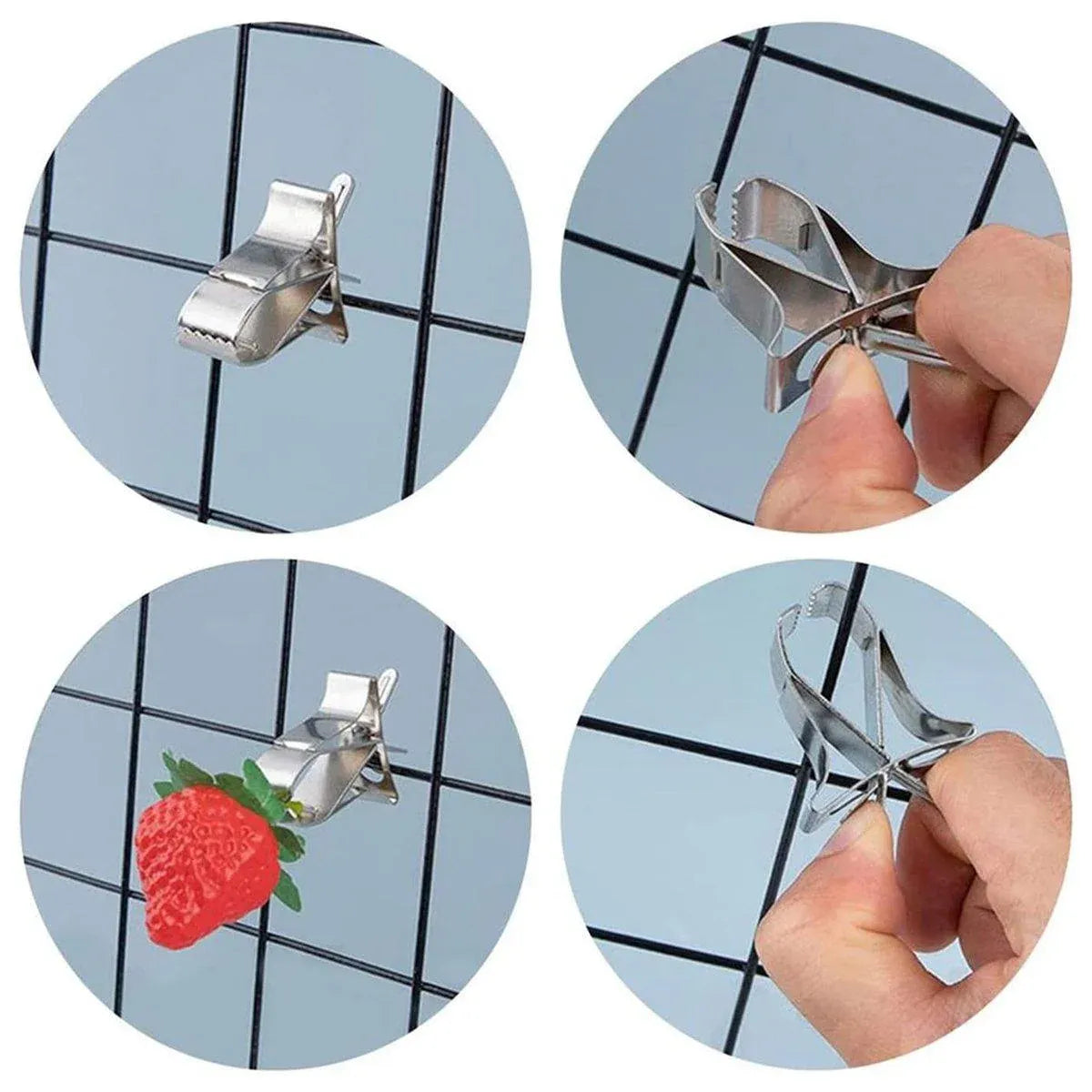 Birdie Fruit & Veggie Feeding Clips β Stainless Steel Cage Holders (6 Pack) π£π