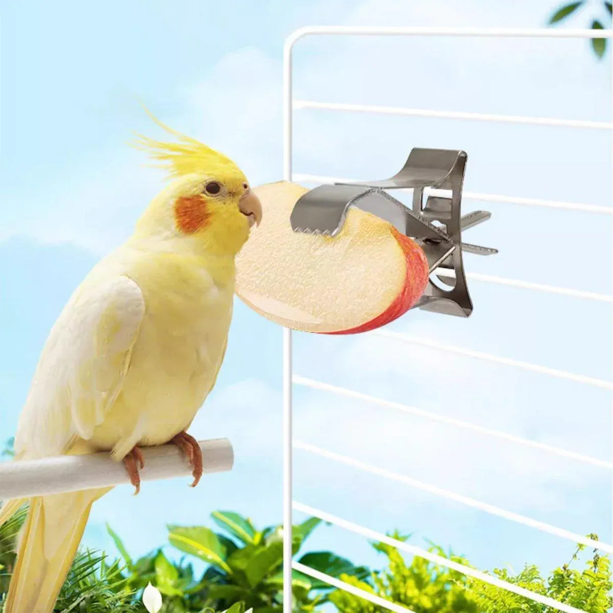 Birdie Fruit & Veggie Feeding Clips β Stainless Steel Cage Holders (6 Pack) π£π