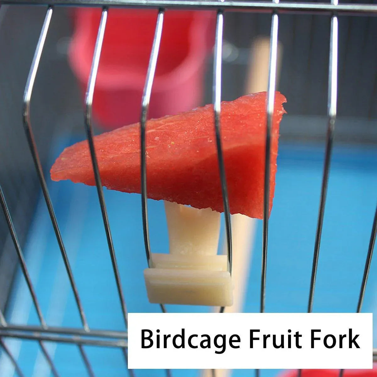 Birdie Fruit & Veggie Holders β Cage Feeding Forks (10 Pack) π£π
