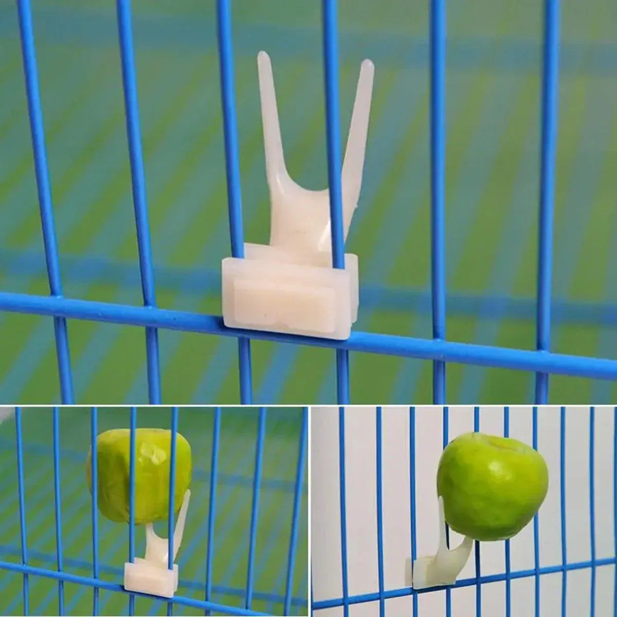 Birdie Fruit & Veggie Holders β Cage Feeding Forks (10 Pack) π£π