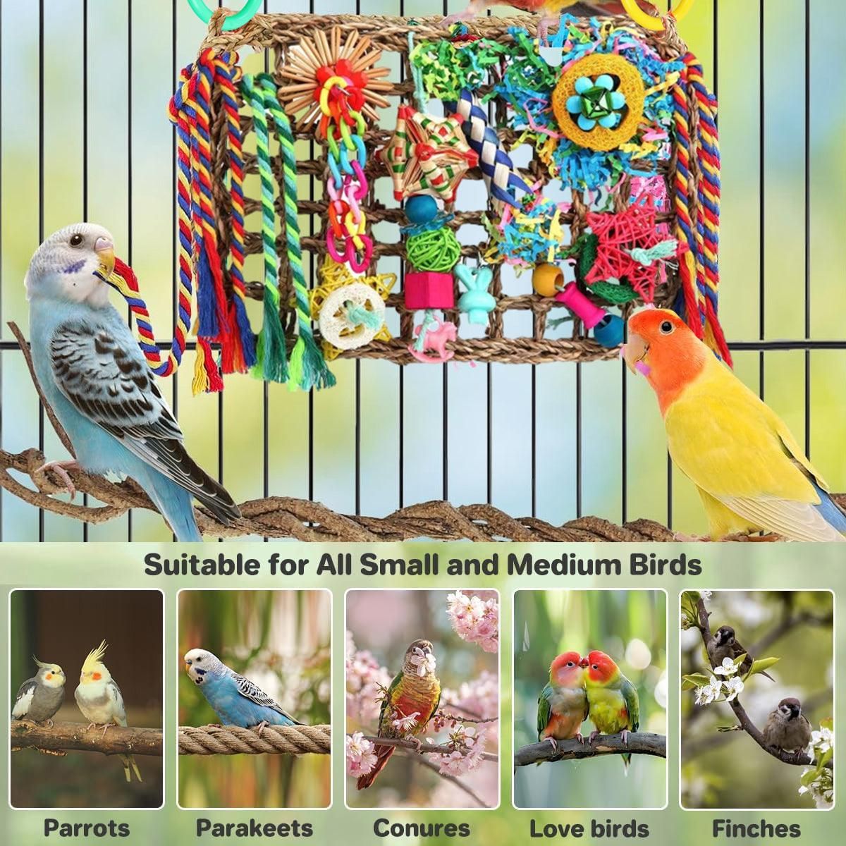 Rainbow Birdie Climbing Net β Colourful Hanging Enrichment Playground ππ£π