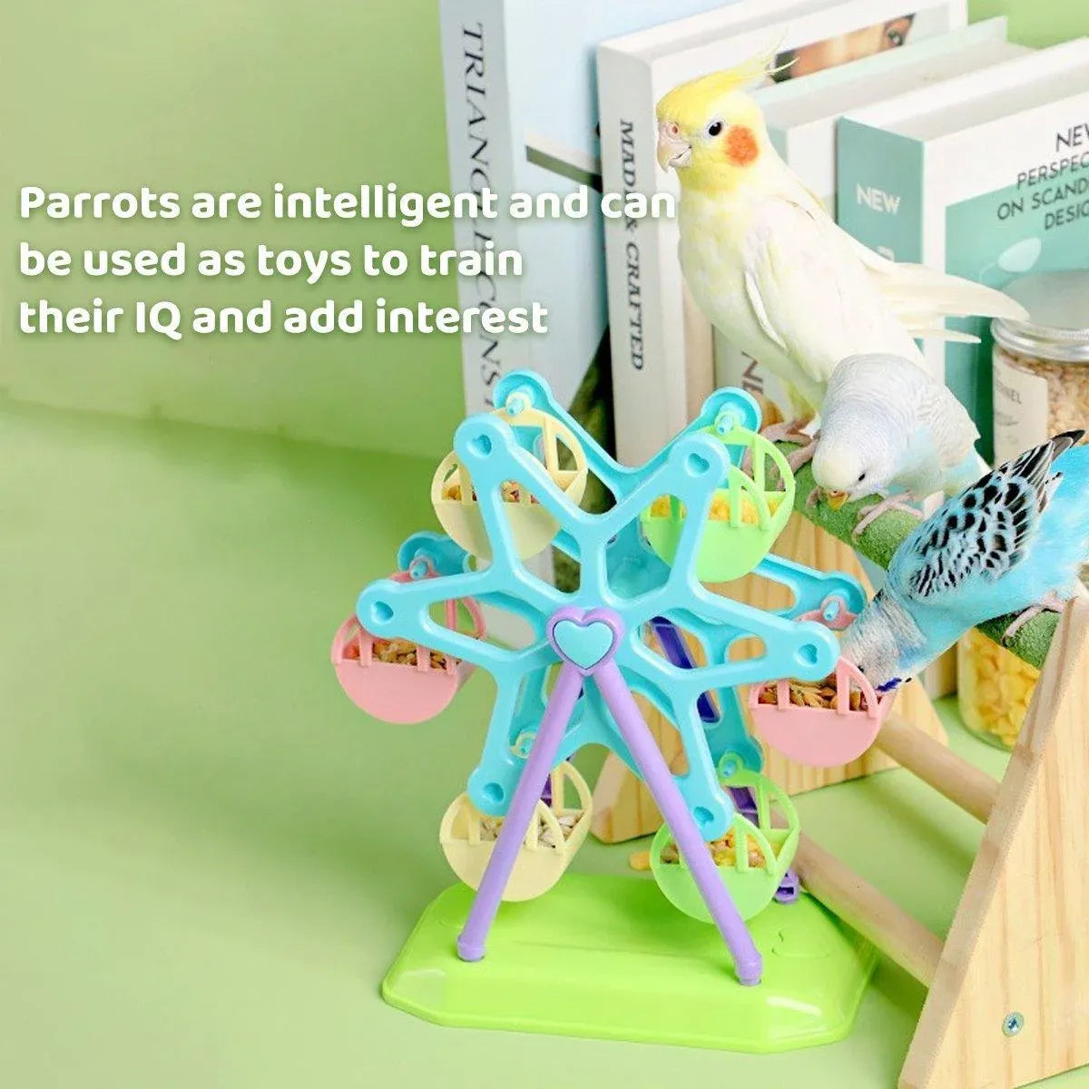 Interactive Bird Ferris Wheel Treat Dispenser β Parrot Foraging & Training Toy π¦π
