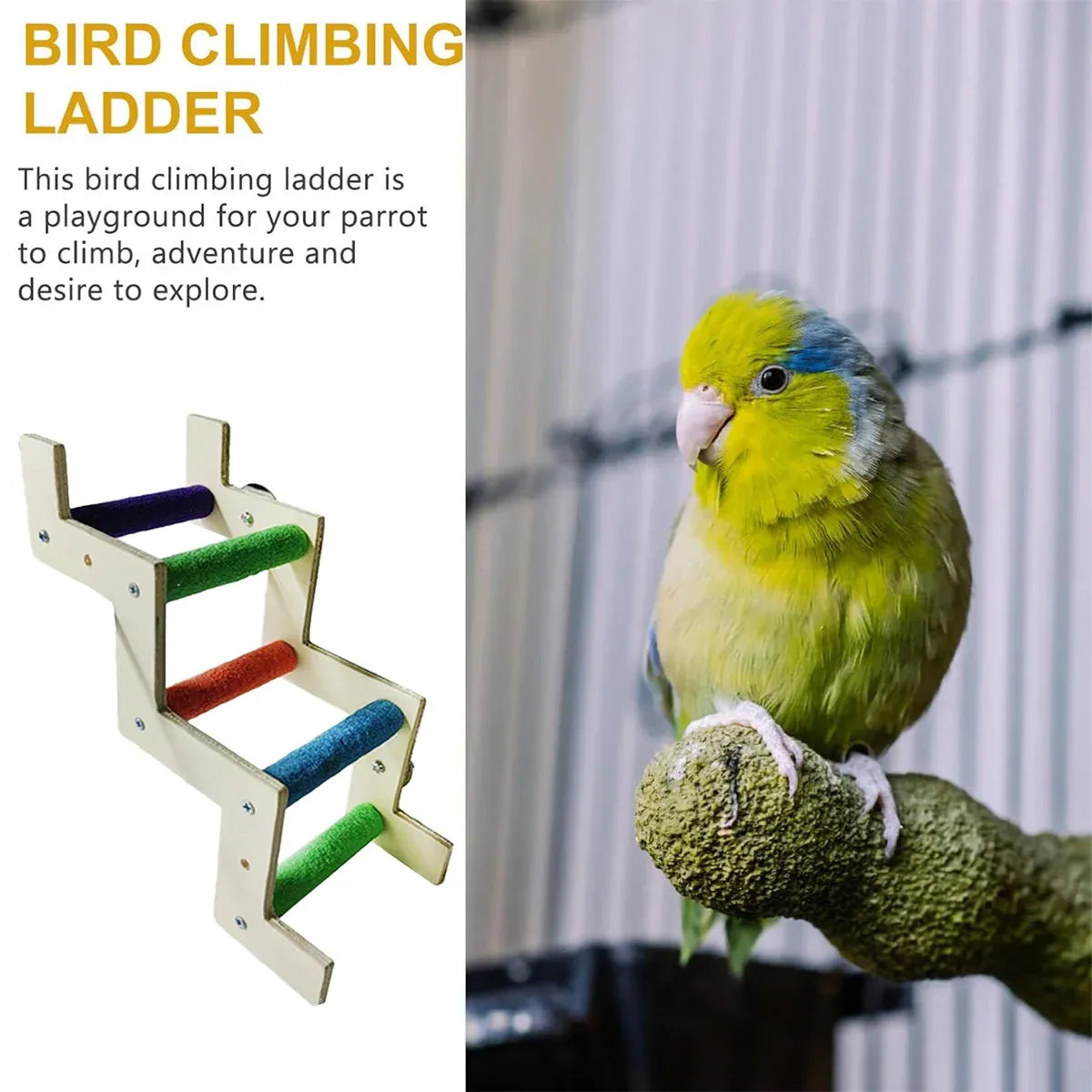 Rainbow Birdie Wooden Climbing Ladder – Hanging Adventure Playground 🐣💕