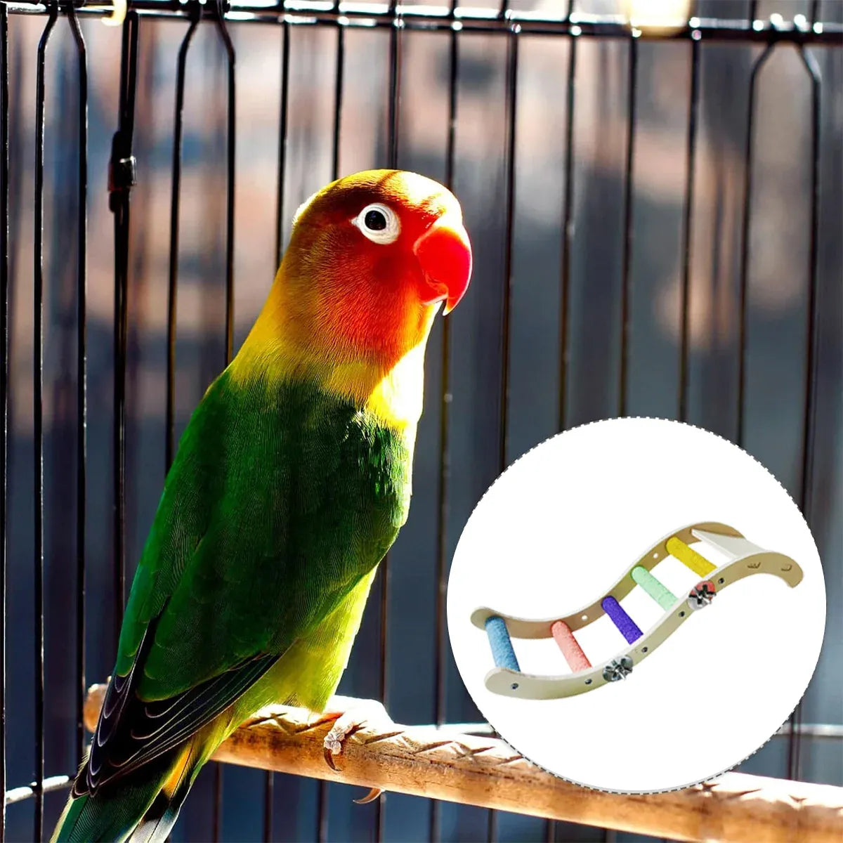 Rainbow Birdie Wooden Climbing Ladder – Hanging Adventure Playground 🐣💕