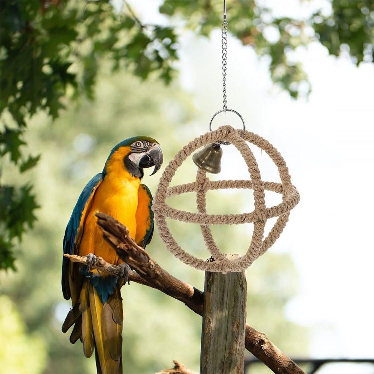 Parrot Chew & Swing Toy β Hanging Bird Enrichment Hoop π¦π