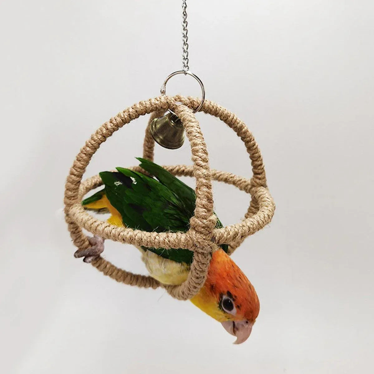 Parrot Chew & Swing Toy β Hanging Bird Enrichment Hoop π¦π