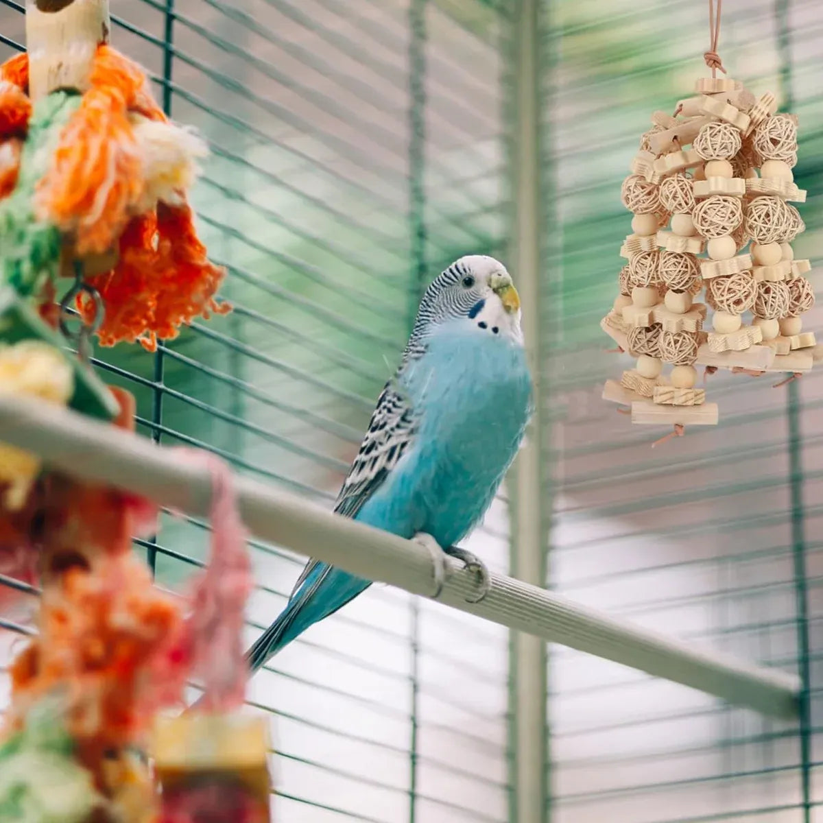 Natural Rattan Birdie Chew Toy β Hanging Shredding & Enrichment Fun π£π