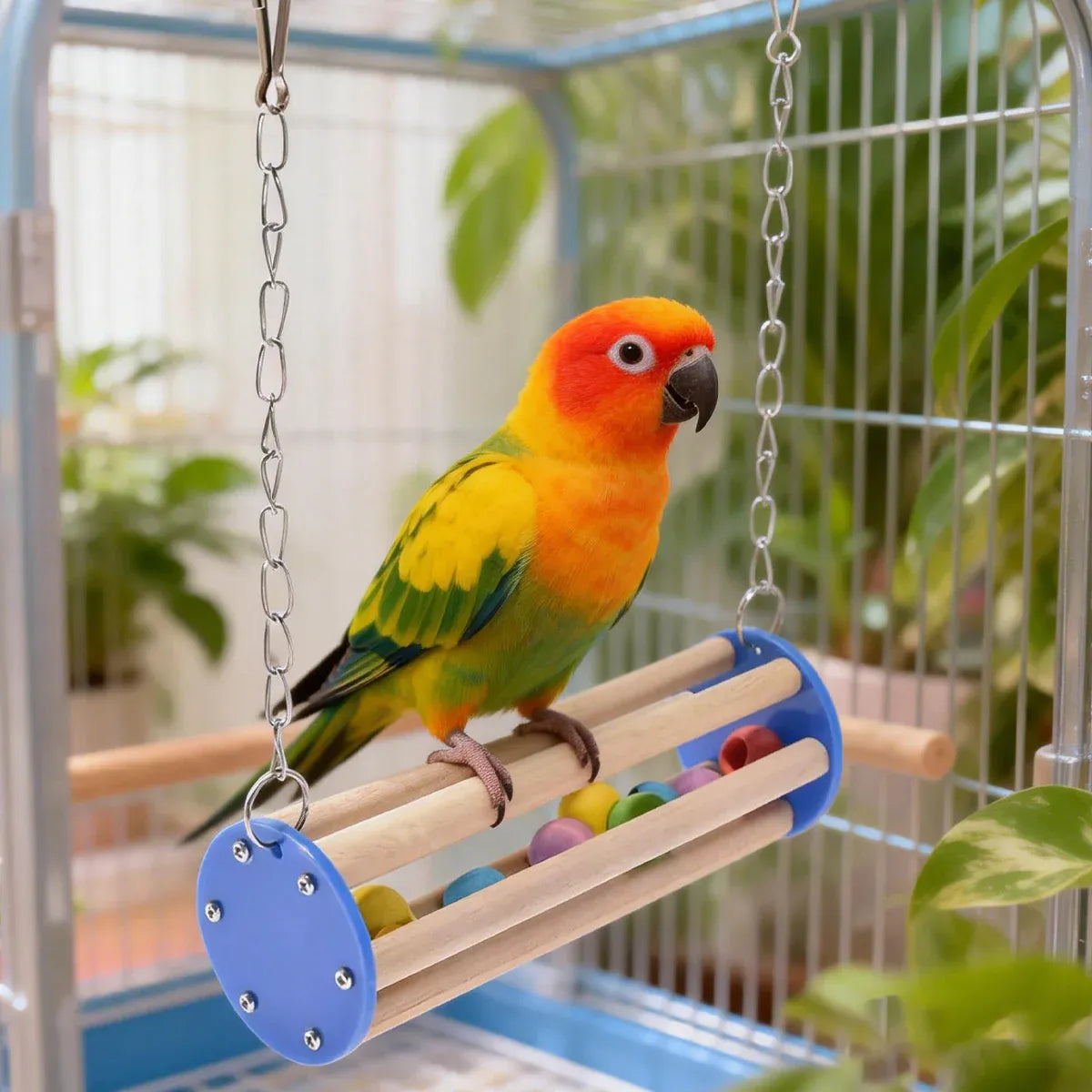 Baby Beaks Swingin’ Rainbows 🌈🐣 | Wooden Bird Swing & Hanging Play Perch
