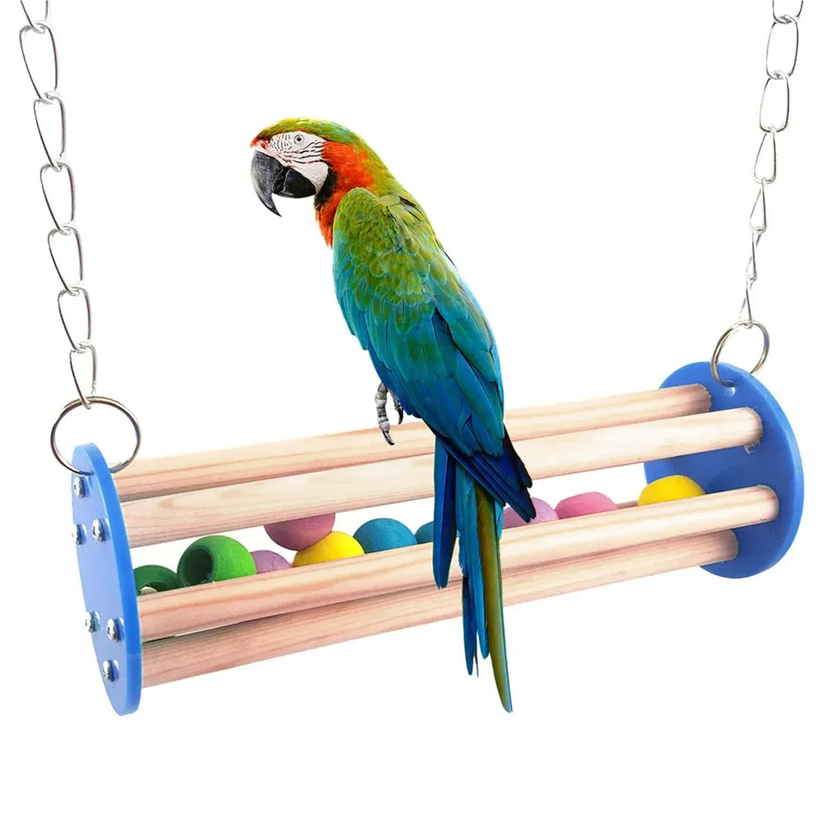 Baby Beaks Swingin’ Rainbows 🌈🐣 | Wooden Bird Swing & Hanging Play Perch
