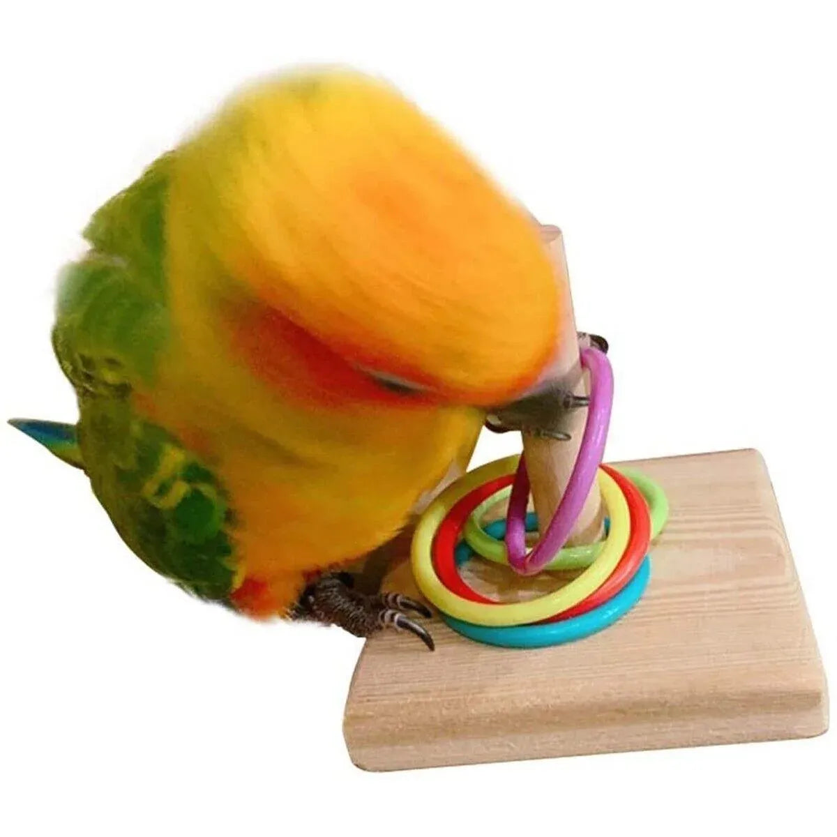 Interactive Bird Ring Stacking Toy β Parrot Training & Puzzle Enrichment Set π¦π