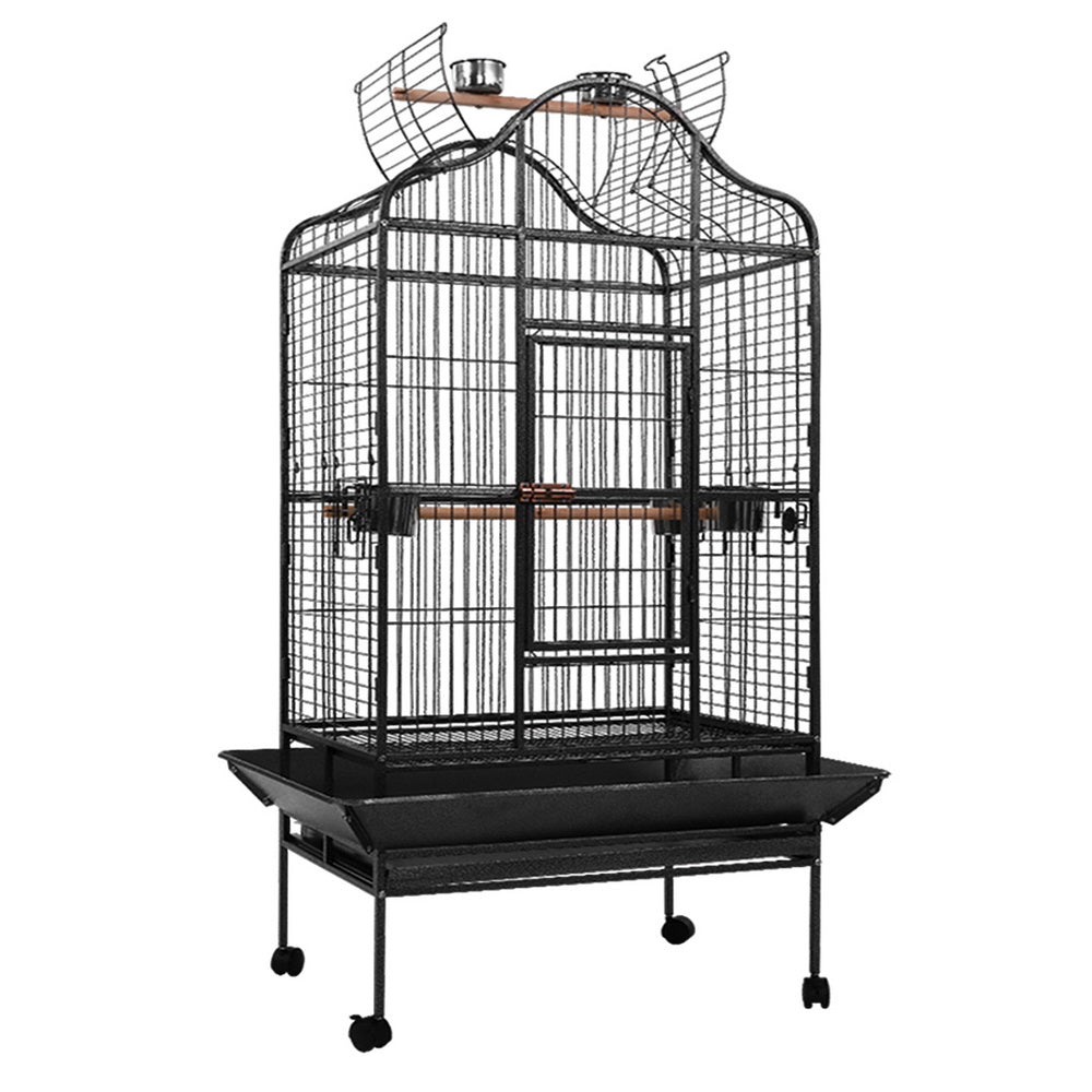 Baby Beaks Royal Feathered Retreat 🦜💕 | i.Pet 168cm Large Bird Cage with Open Play Top