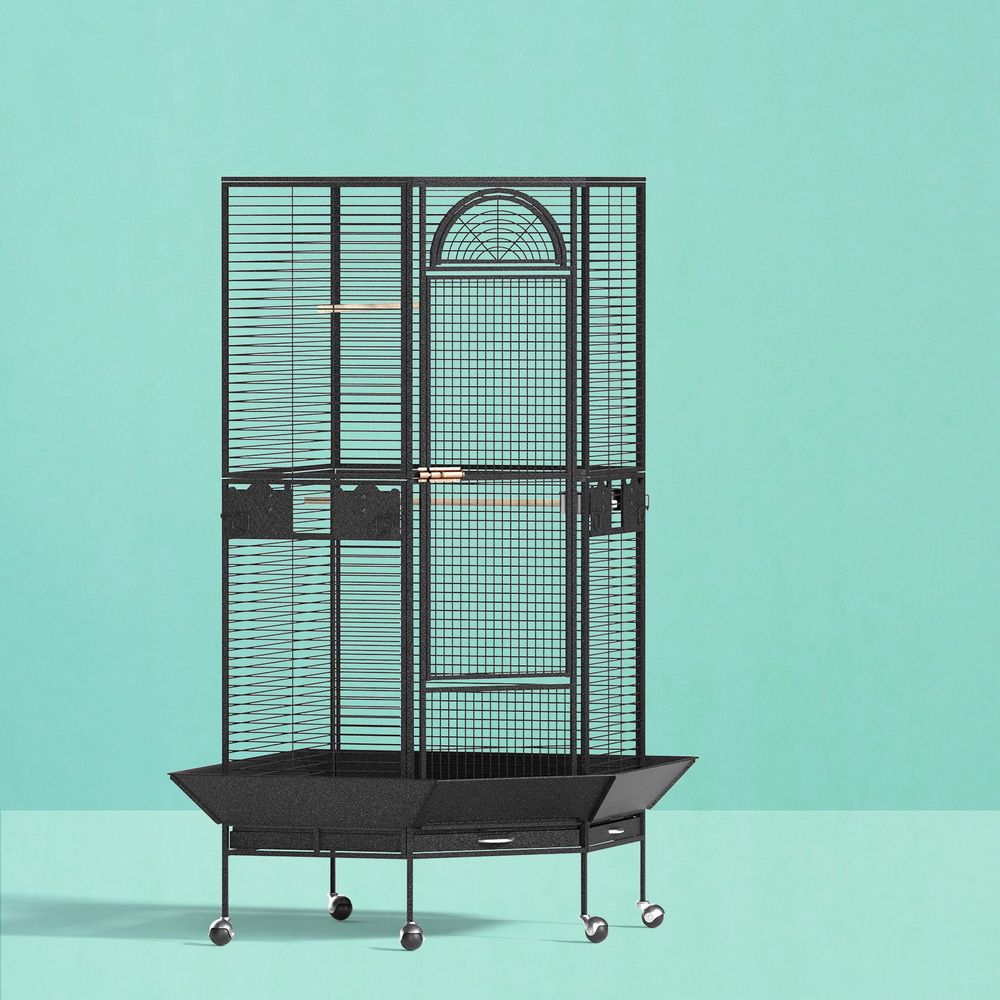i.Pet Large Jumbo Bird Cage & Aviary – 161cm Metal Parrot Cage with Perches 🦜🌈