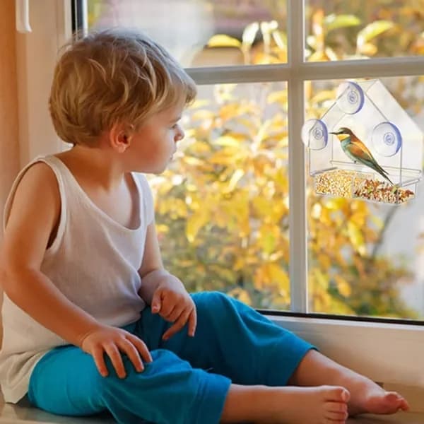 Clear Window Bird Feeder – Double Feeding Tray with Suction Cups 🐦🌿
