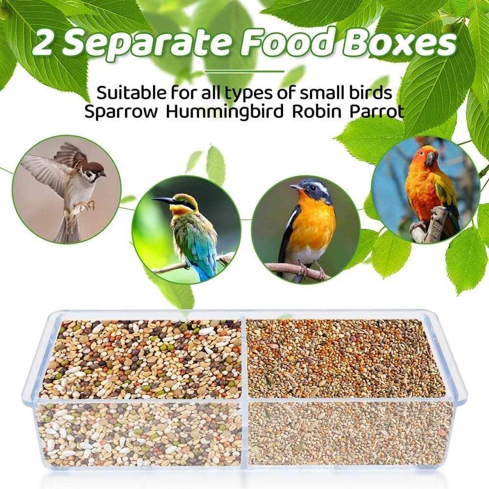 Clear Window Bird Feeder – Double Feeding Tray with Suction Cups 🐦🌿