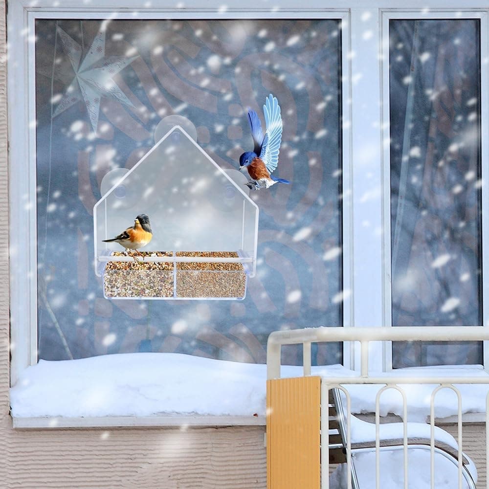 Clear Window Bird Feeder – Double Feeding Tray with Suction Cups 🐦🌿