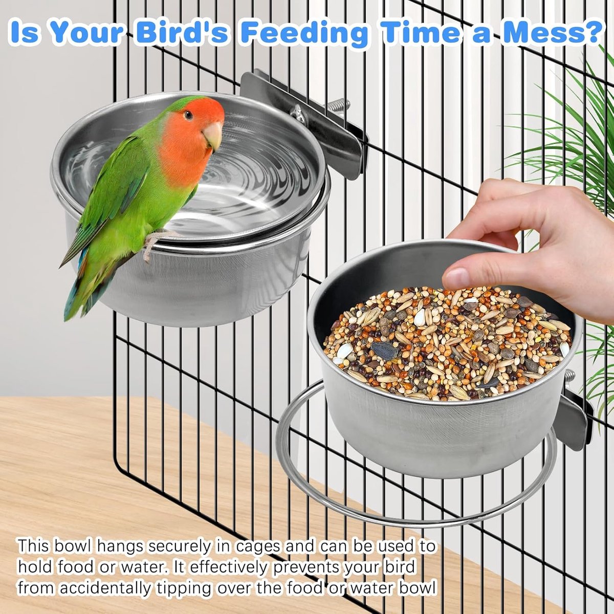 🐣 Stainless Steel Birdie Food & Water Bowl – Cage Mounted 🦜💕 (2PC)