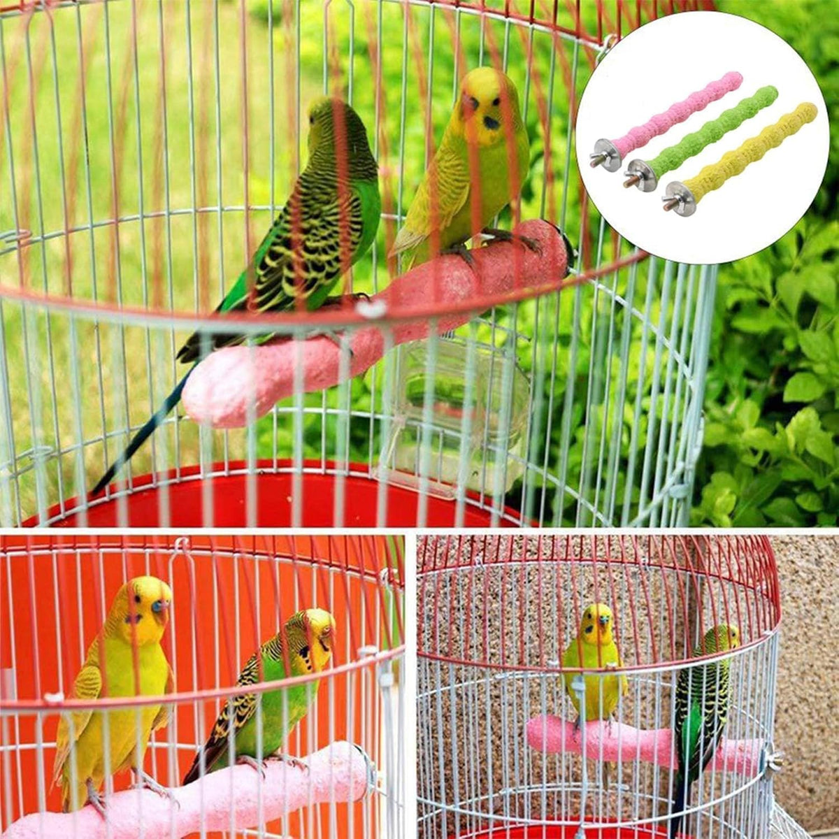 Bird Mineral Chew Sticks & Perches – 3 Pack 🦜🌈