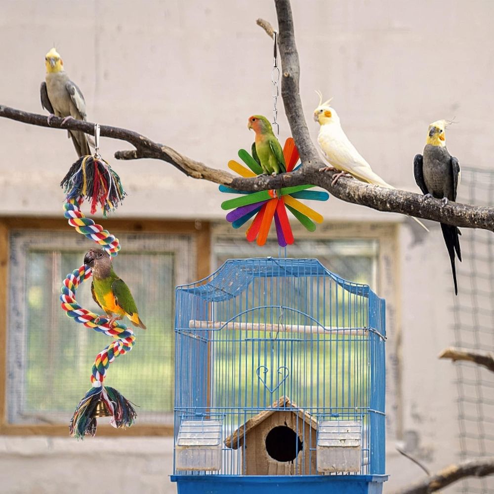 Baby Beaks Cheeky Chewers Paradise 🌈🐣 | 6-Piece Bird Toy & Foraging Set