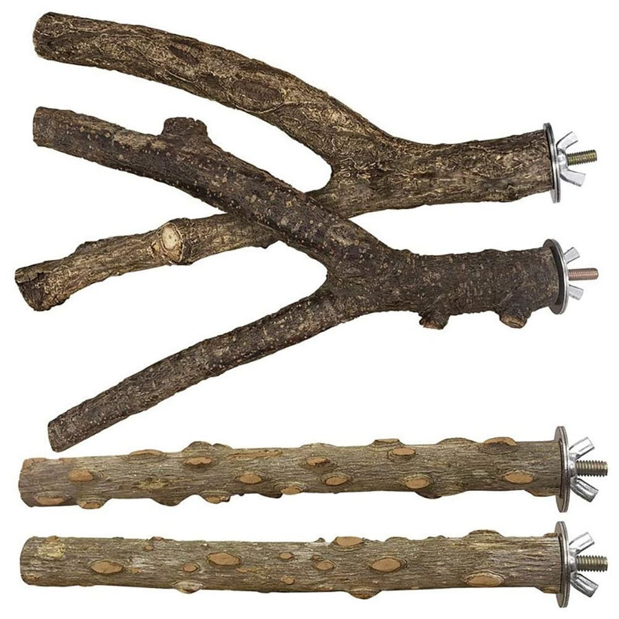 Baby Beaks Branching Out 🌿💕 | 4-Pack Natural Wooden Bird Perches