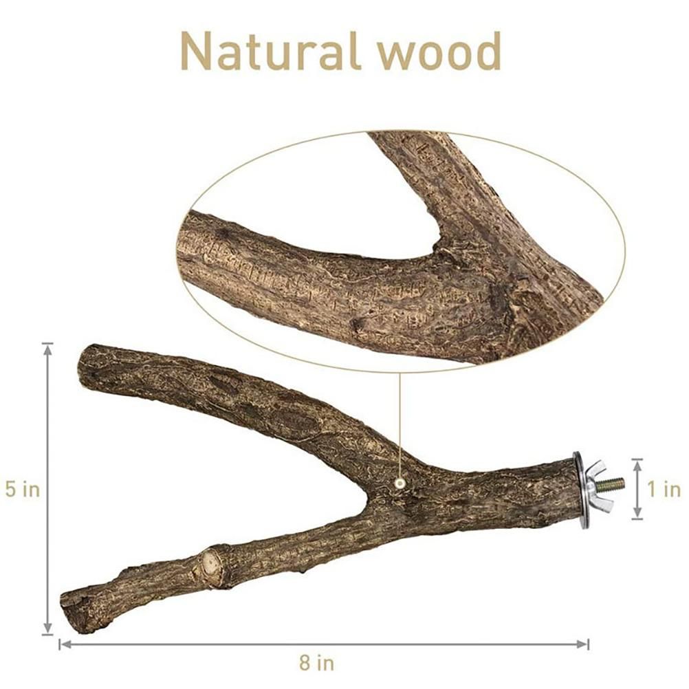 Baby Beaks Branching Out 🌿💕 | 4-Pack Natural Wooden Bird Perches
