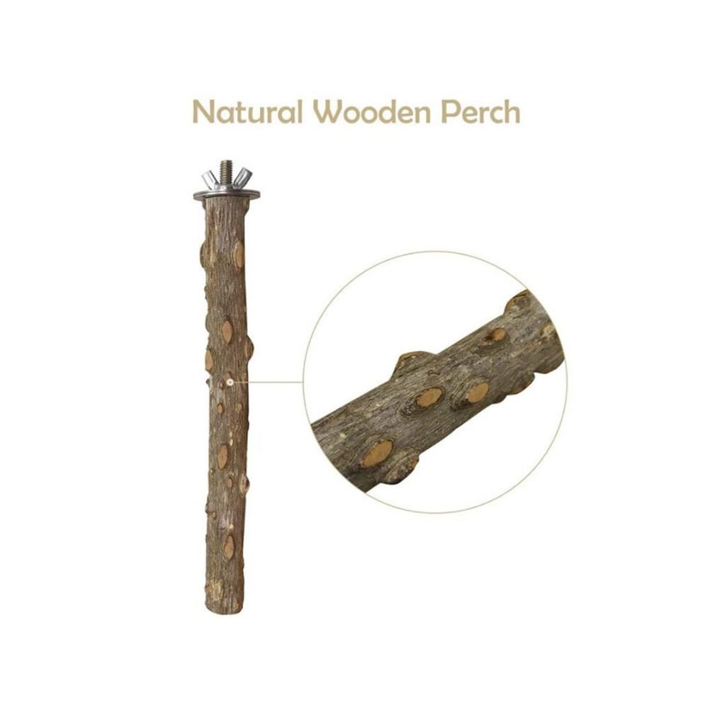 Baby Beaks Branching Out 🌿💕 | 4-Pack Natural Wooden Bird Perches