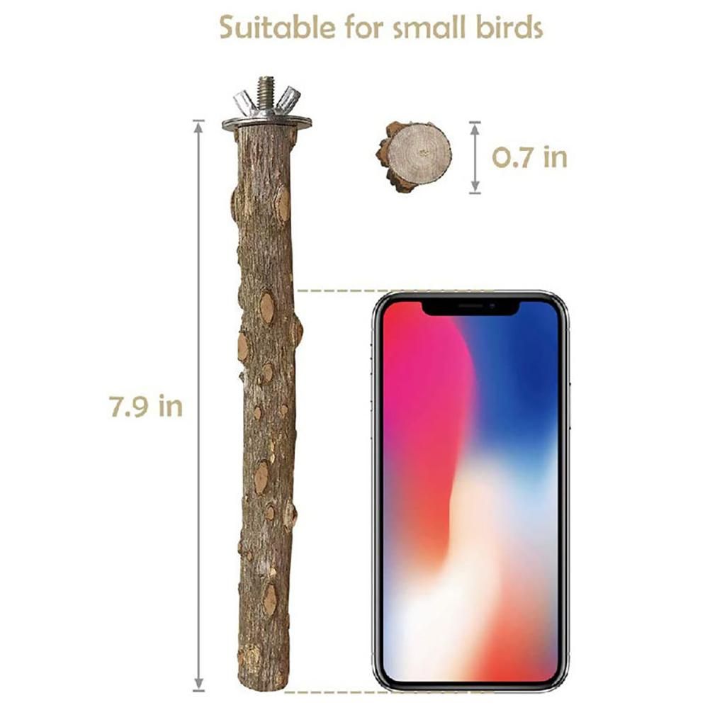 Baby Beaks Branching Out 🌿💕 | 4-Pack Natural Wooden Bird Perches
