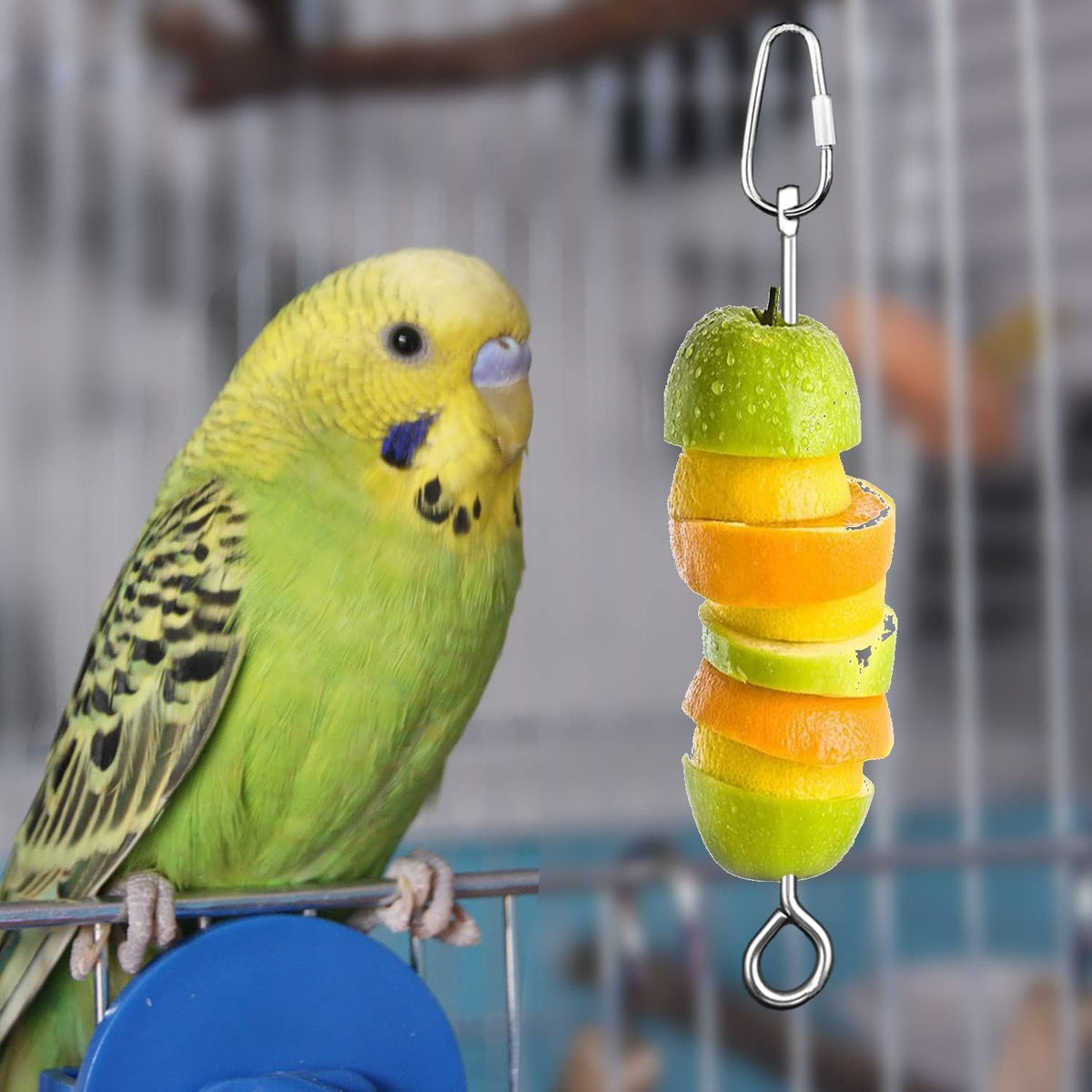Baby Beaks Fruity Feast Skewer 🍓🌈 | Stainless Steel Bird Fruit & Veggie Holder