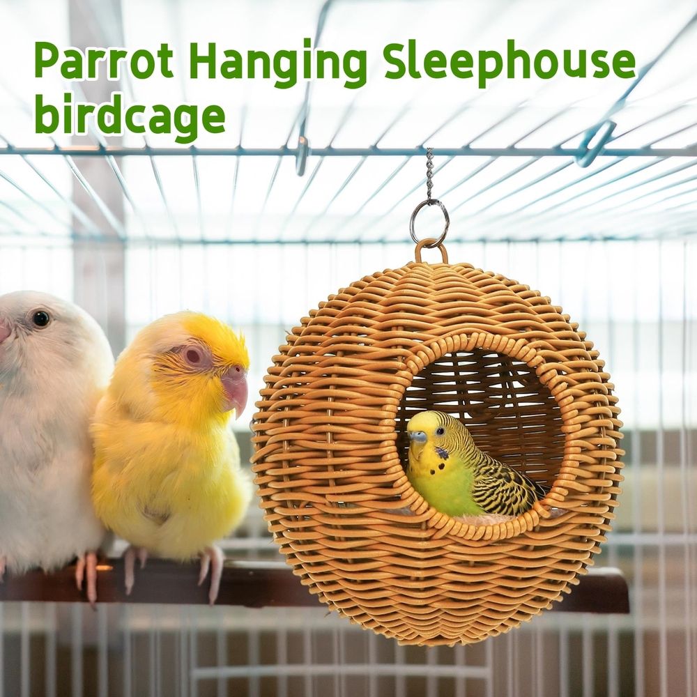 🥥 A Little Hideaway for Your Feathered Bestie!