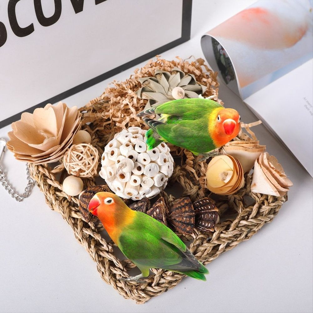 Baby Beaks Shred & Seek Adventure 🌸🐣 | Natural Seagrass Bird Foraging Mat