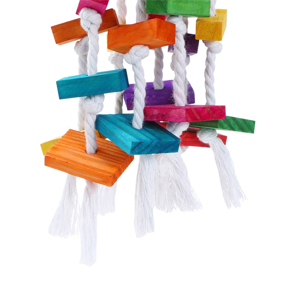 3-Piece Colourful Wooden Bird Swing & Chew Toy Set – Parrot Hanging Enrichment 🦜🌈