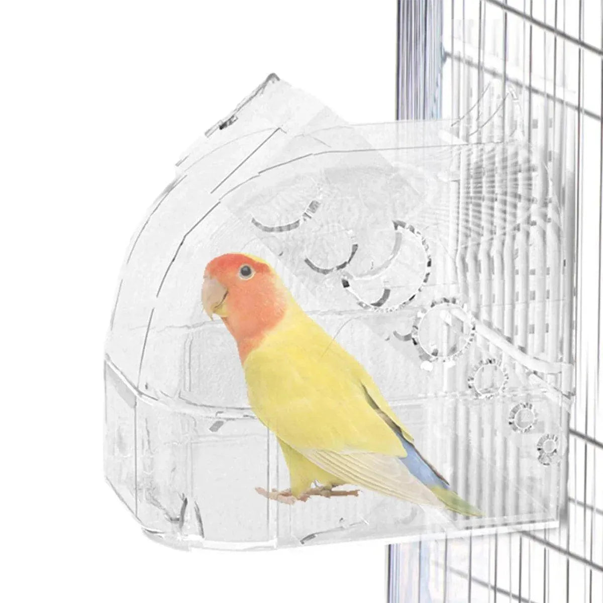 Splash & Splash Birdie Bath – Hanging Bird Cage Bathtub 🛁🐣💕