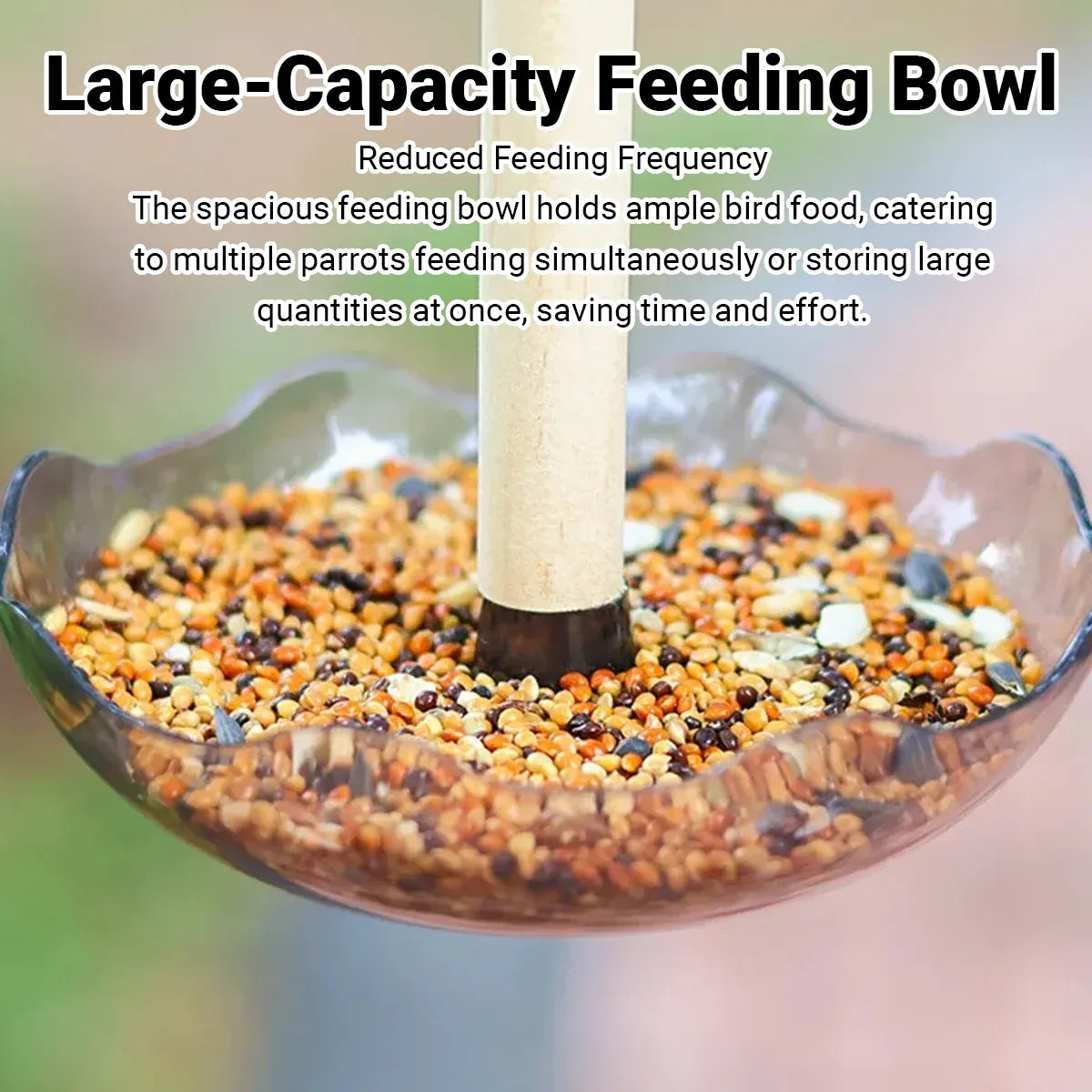 Baby Beaks Little Nibbles Feeding Station 🐣💕 | Bird Food Bowl & Wooden Perch